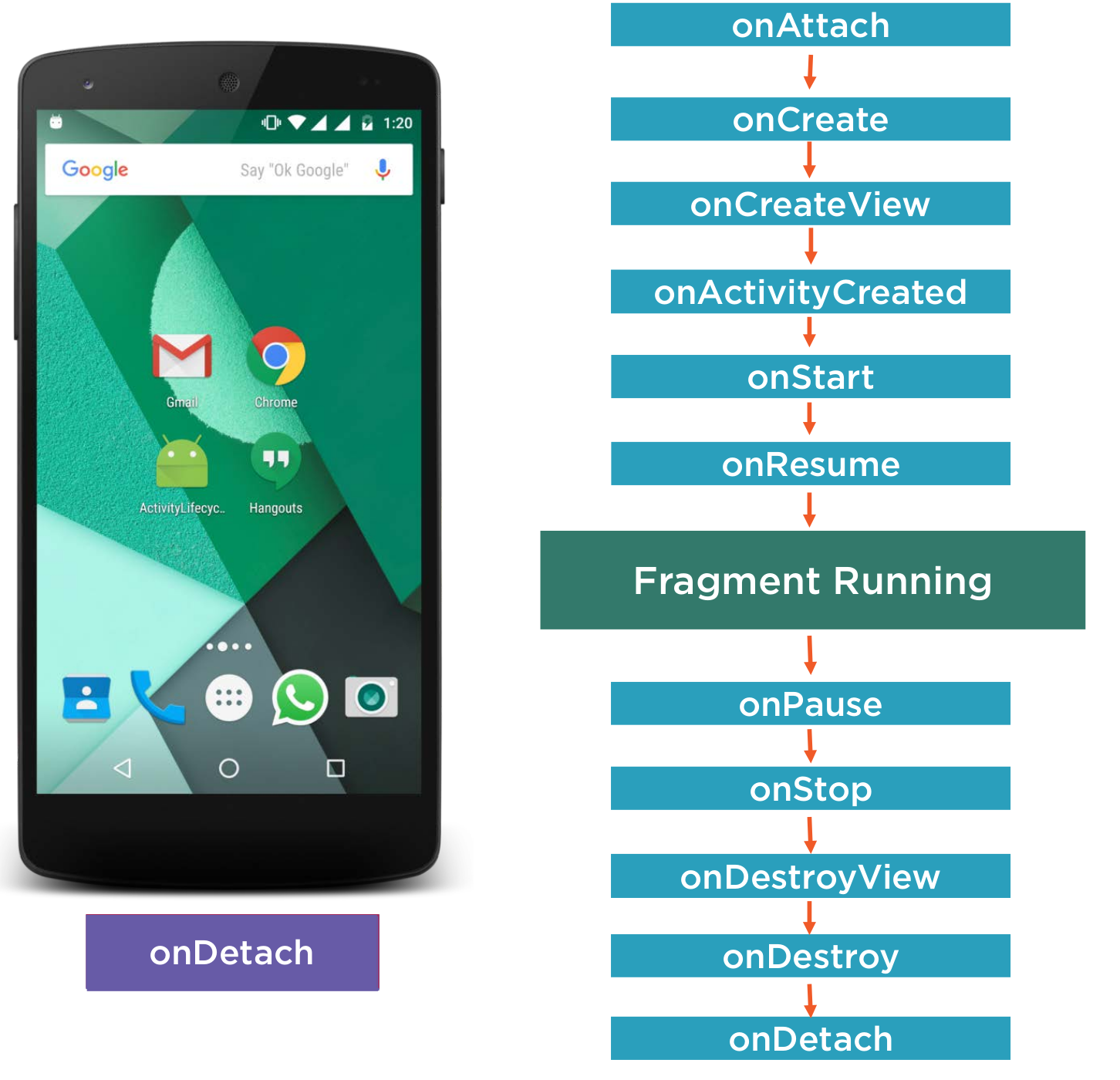 Android Fragment Lifecycle2.png